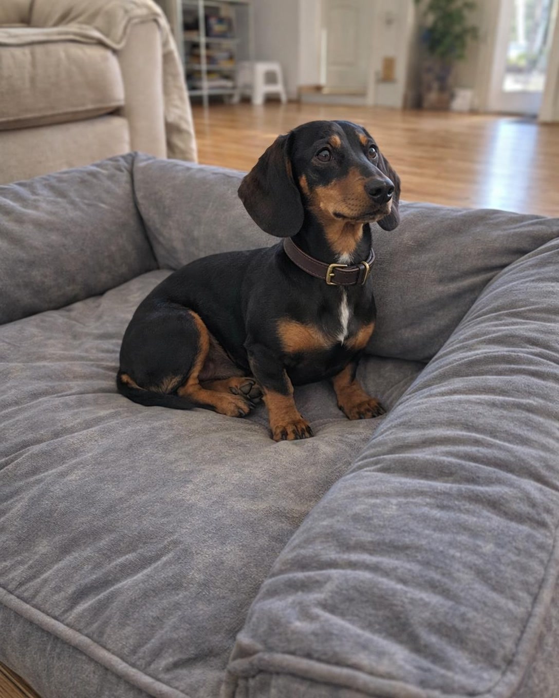 Yes, this is the spot.